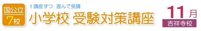 11月