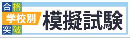 模試